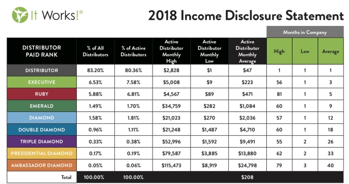 It Works Income Disclosure Statement