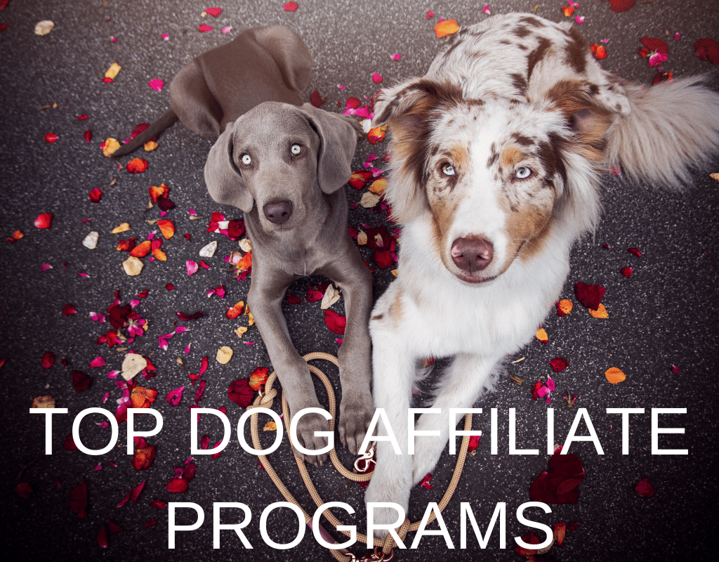 top dog affiliate programs
